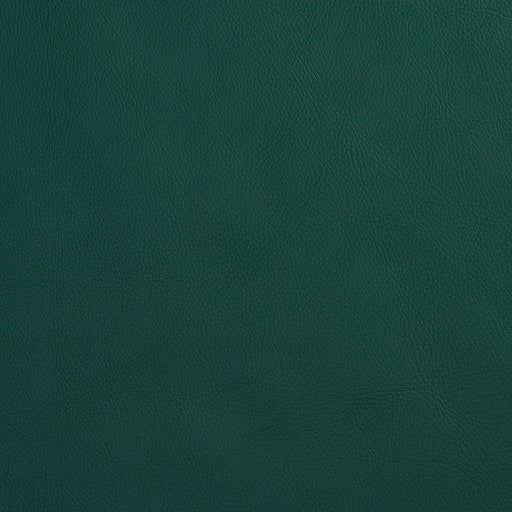 Charlotte - 8080 - Spruce - Fabric by the Yard Spruce