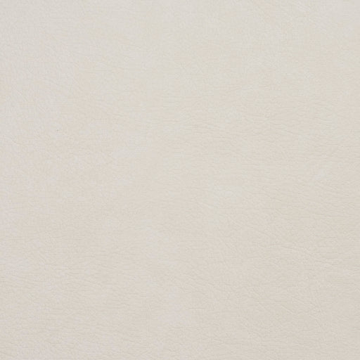 Charlotte - 8096 - Ivory - Fabric by the Yard Ivory