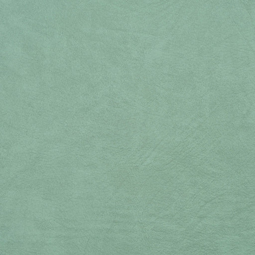 Charlotte - 8100 - Mint - Fabric by the Yard Mint