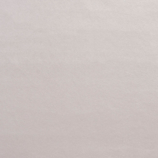 Charlotte - 8203 - Moonstone - Fabric by the Yard Moonstone