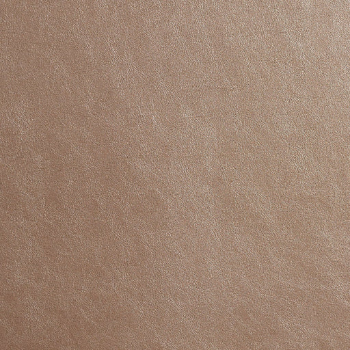 Charlotte - 8208 - Electrum - Fabric by the Yard Electrum