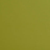 Charlotte - 8211 - Apple - Fabric by the Yard