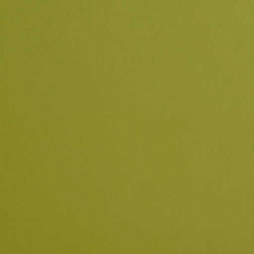 Charlotte - 8211 - Apple - Fabric by the Yard Apple