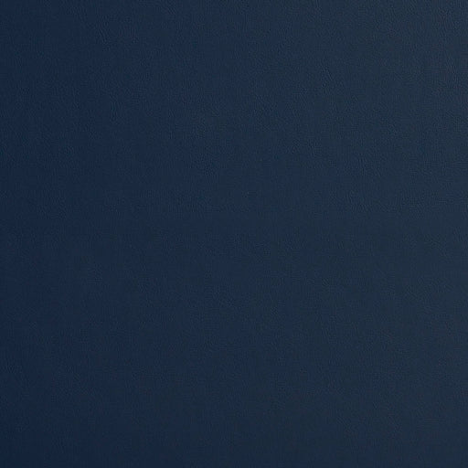 Charlotte - 8213 - Navy - Fabric by the Yard Navy