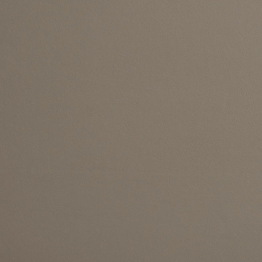 Charlotte - 8214 - Pewter - Fabric by the Yard Pewter