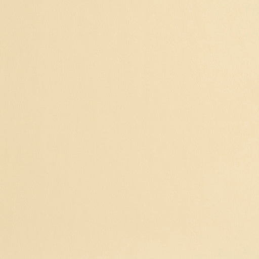 Charlotte - 8217 - Cream - Fabric by the Yard Cream