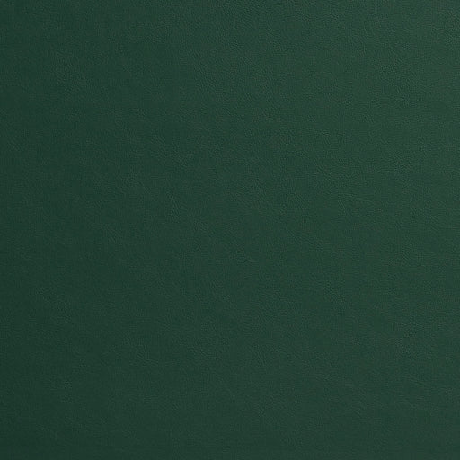 Charlotte - 8218 - Spruce - Fabric by the Yard Spruce