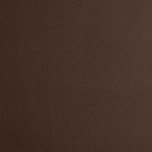 Charlotte - 8224 - Chocolate - Fabric by the Yard Chocolate