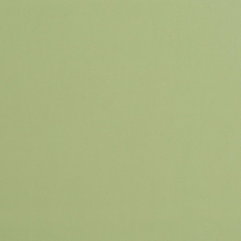 Charlotte - 8226 - Mint - Fabric by the Yard Mint
