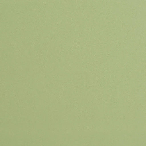 Charlotte - 8226 - Mint - Fabric by the Yard Mint