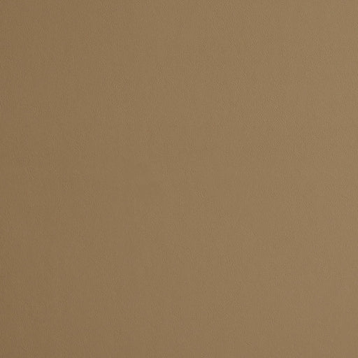 Charlotte - 8227 - Sandstone - Fabric by the Yard Sandstone