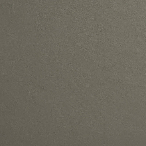 Charlotte - 8229 - Metal - Fabric by the Yard Metal