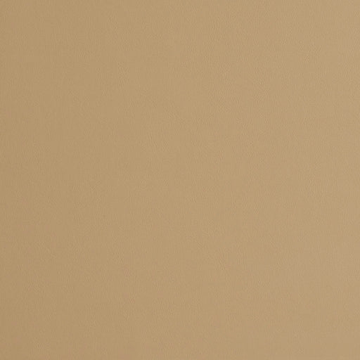 Charlotte - 8231 - Sand - Fabric by the Yard Sand
