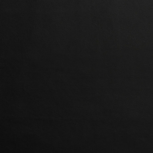 Charlotte - 8232 - Black - Fabric by the Yard Black