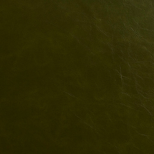 Charlotte - 8241 - Moss - Fabric by the Yard Moss