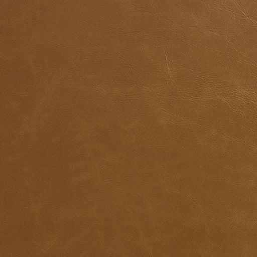 Charlotte - 8246 - Latte - Fabric by the Yard Latte