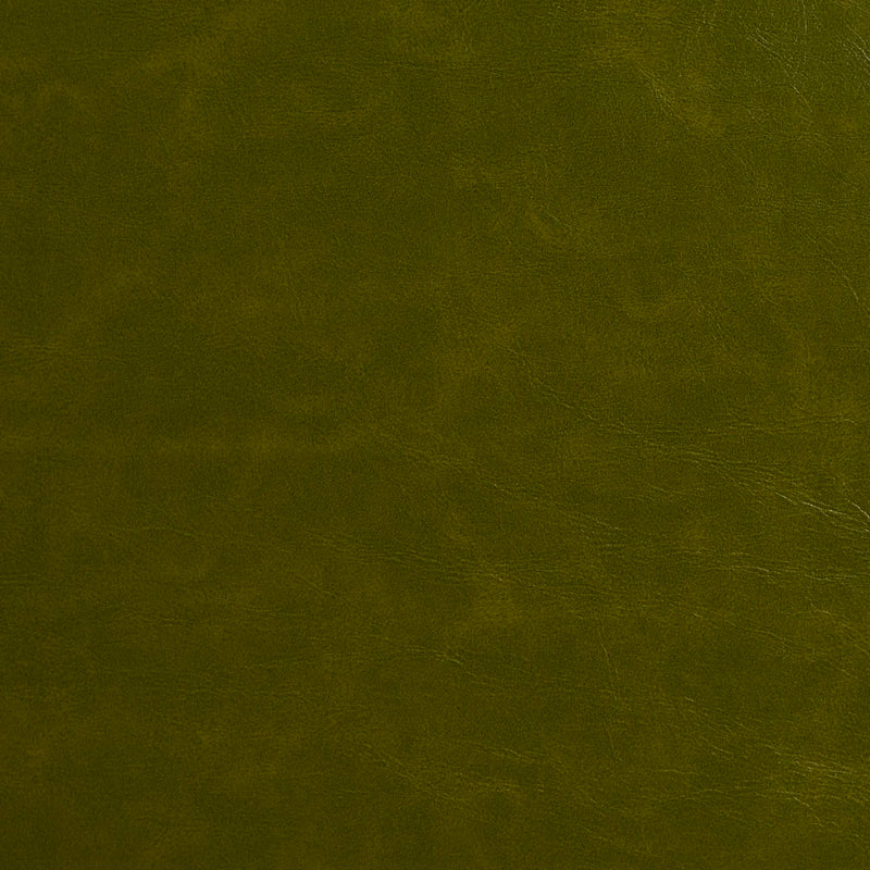 Charlotte - 8252 - Fern - Fabric by the Yard Fern