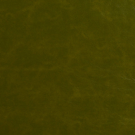 Charlotte - 8252 - Fern - Fabric by the Yard Fern