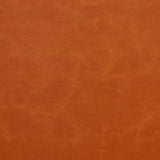 Charlotte - 8253 - Apricot - Fabric by the Yard