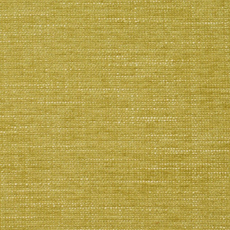 Charlotte - 8438 - Citrus - Fabric by the Yard Citrus