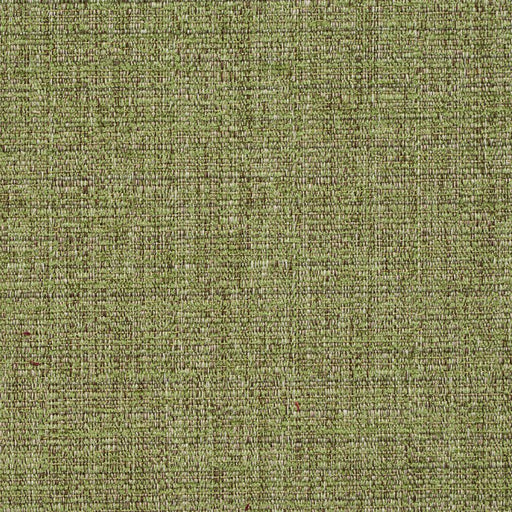 Charlotte - 8461 - Meadow - Fabric by the Yard Meadow