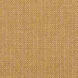 Charlotte - 8503 - Kiwi - Fabric by the Yard