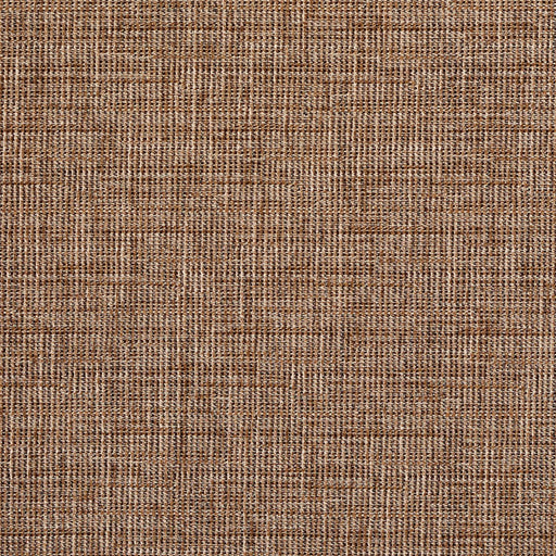 Charlotte - 8513 - Peanut - Fabric by the Yard Peanut