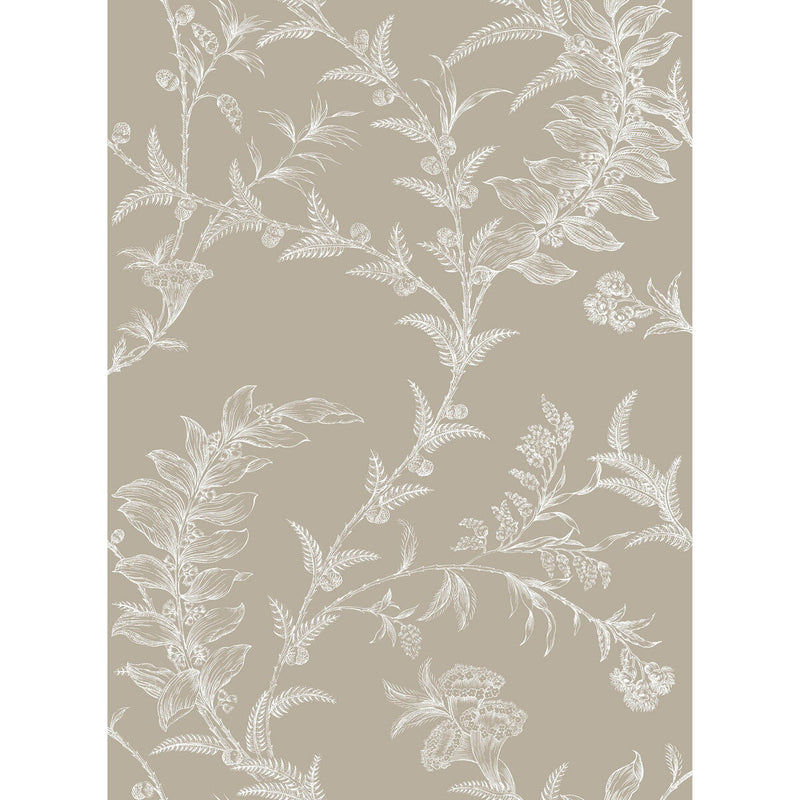 COLE & SON - LUDLOW- TAUPE - Wallcovering by the Roll TAUPE