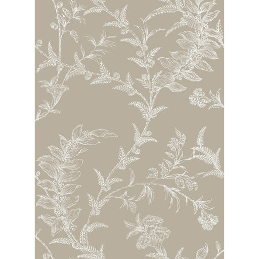 COLE & SON - LUDLOW- TAUPE - Wallcovering by the Roll TAUPE
