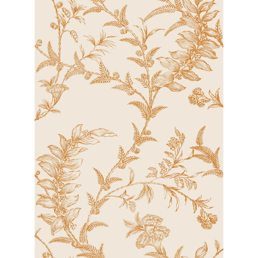COLE & SON - LUDLOW- PEACH - Wallcovering by the Roll PEACH
