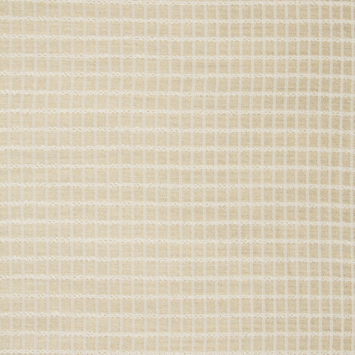 KRAVET COUTURE - SHEER LATITUDE- CREME - Fabric by the Yard CREME