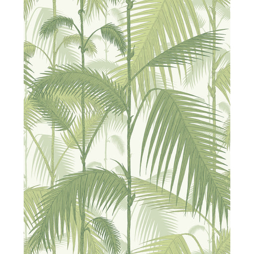 COLE & SON - PALM JUNGLE- OLIVE GRE/WHITE - Wallcovering by the Roll OLIVE GRE/WHITE