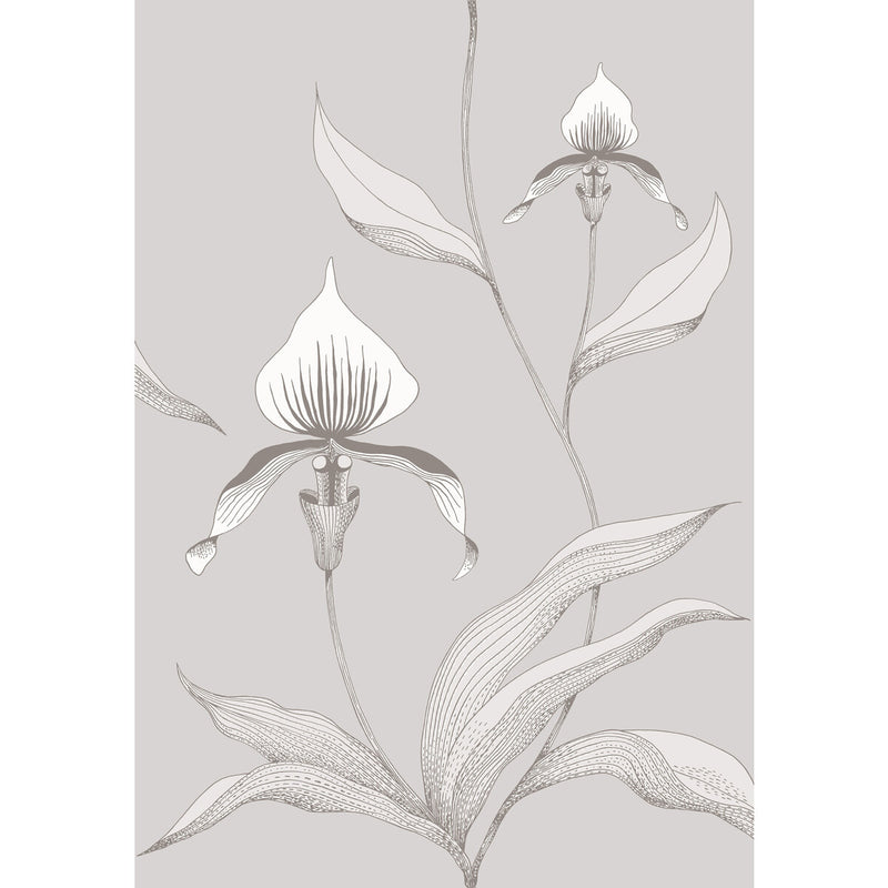 COLE & SON - ORCHID- GREY/WHITE - Wallcovering by the Roll GREY/WHITE