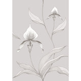 COLE & SON - ORCHID- GREY/WHITE - Wallcovering by the Roll