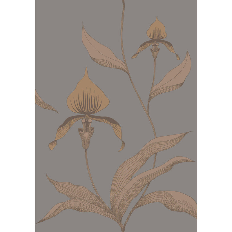 COLE & SON - ORCHID- BRONZE/SLATE - Wallcovering by the Roll BRONZE/SLATE