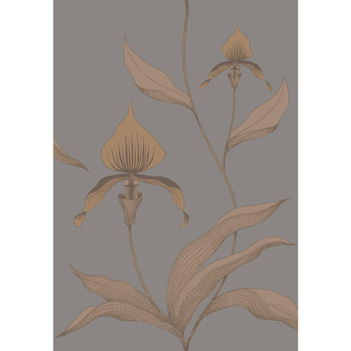 COLE & SON - ORCHID- BRONZE/SLATE - Wallcovering by the Roll BRONZE/SLATE