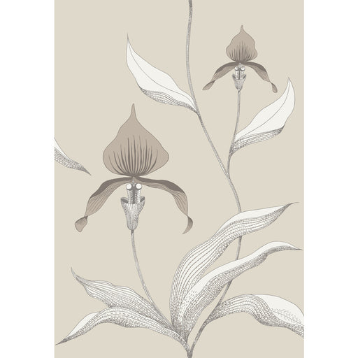 COLE & SON - ORCHID- LINEN/WHITE - Wallcovering by the Roll LINEN/WHITE