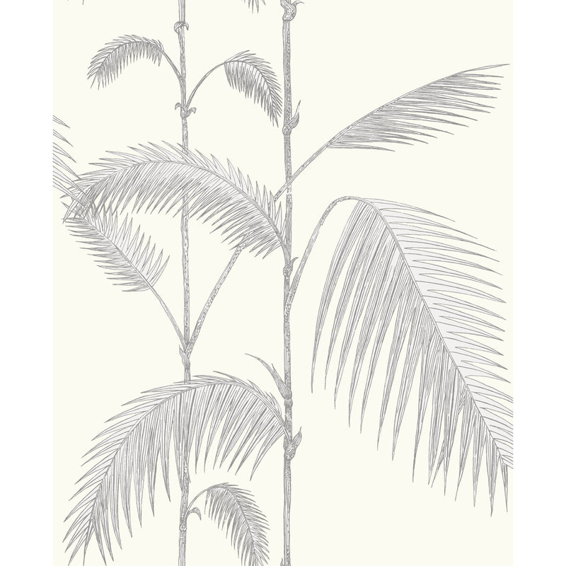 COLE & SON - PALM LEAVES- GREY/WHITE - Wallcovering by the Roll GREY/WHITE