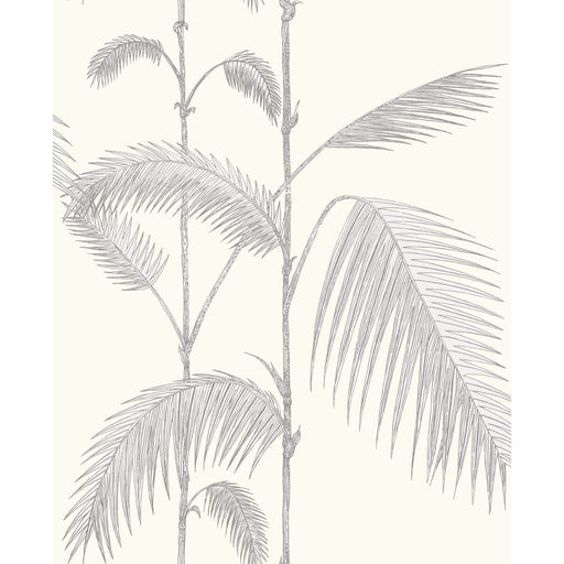 COLE & SON - PALM LEAVES- GREY/WHITE - Wallcovering by the Roll GREY/WHITE
