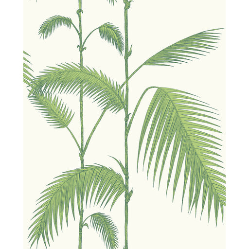 COLE & SON - PALM LEAVES- GREEN/WHITE - Wallcovering by the Roll GREEN/WHITE