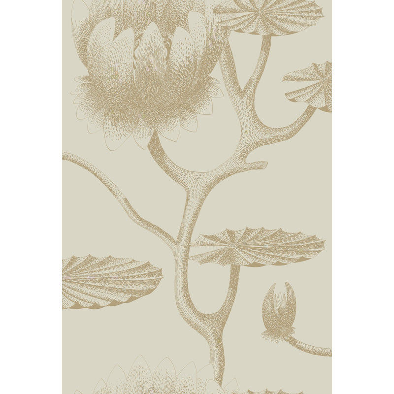 COLE & SON - LILY- LINEN/GOLD - Wallcovering by the Roll LINEN/GOLD