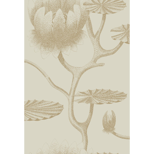 COLE & SON - LILY- LINEN/GOLD - Wallcovering by the Roll LINEN/GOLD