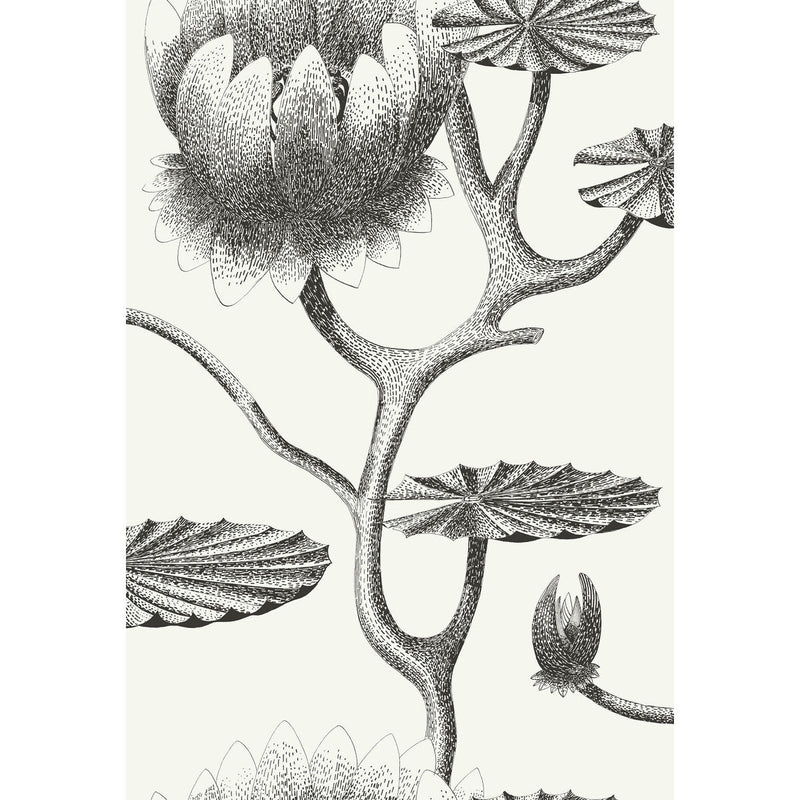 COLE & SON - LILY- BLACK/WHITE - Wallcovering by the Roll BLACK/WHITE