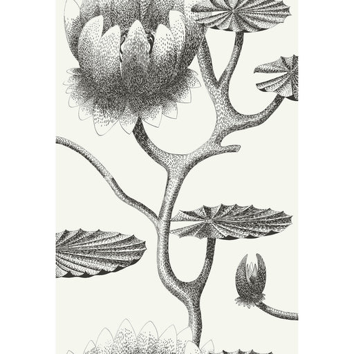 COLE & SON - LILY- BLACK/WHITE - Wallcovering by the Roll BLACK/WHITE