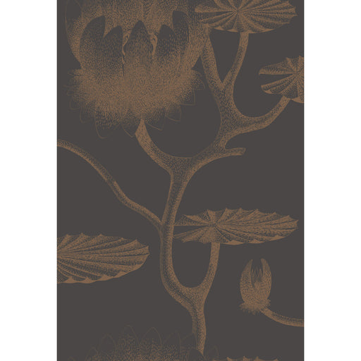 COLE & SON - LILY- BLACK/BRONZE - Wallcovering by the Roll BLACK/BRONZE