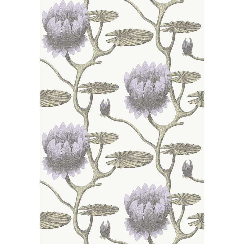 COLE & SON - SUMMER LILY- LILAC/GRN/WT - Wallcovering by the Roll LILAC/GRN/WT