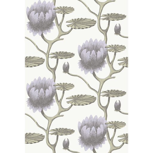 COLE & SON - SUMMER LILY- LILAC/GRN/WT - Wallcovering by the Roll LILAC/GRN/WT
