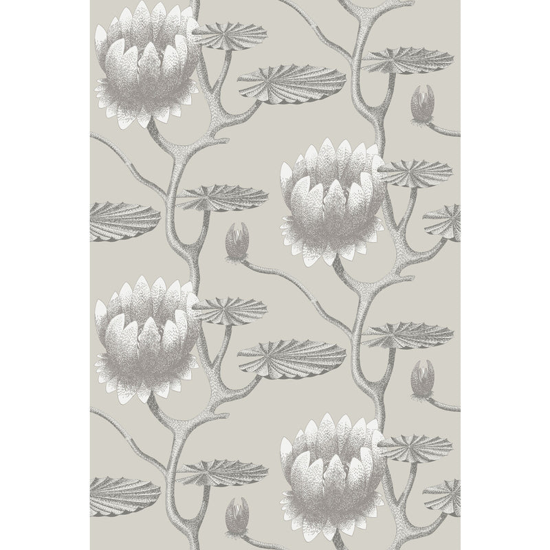 COLE & SON - SUMMER LILY- TAUPE/WHITE - Wallcovering by the Roll TAUPE/WHITE