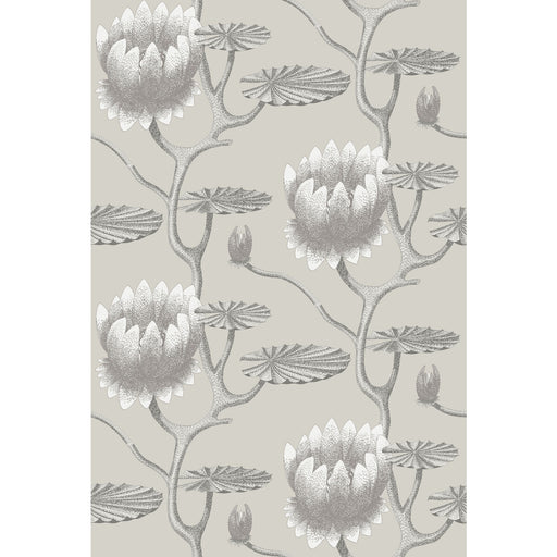 COLE & SON - SUMMER LILY- TAUPE/WHITE - Wallcovering by the Roll TAUPE/WHITE