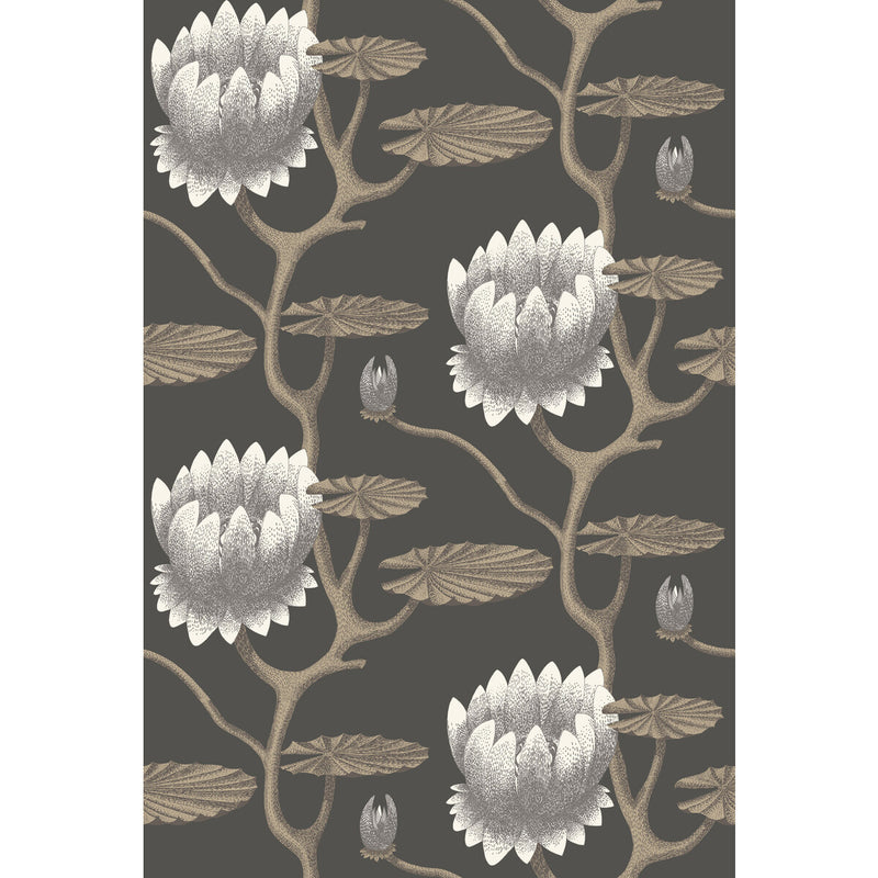 COLE & SON - SUMMER LILY- BLK/WHT/GOLD - Wallcovering by the Roll BLK/WHT/GOLD
